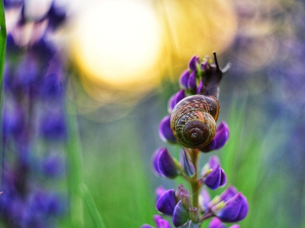 Photograph by Алеся Цеван