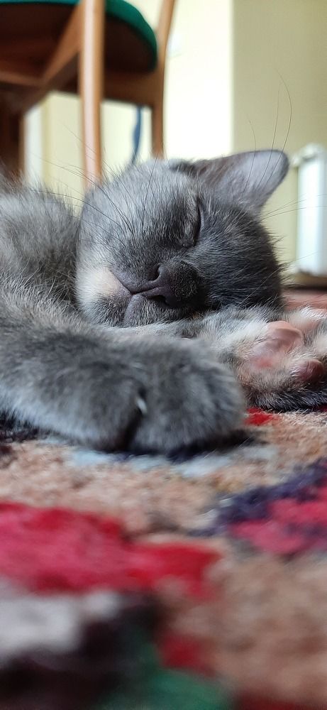 Photograph by Soheil Shams