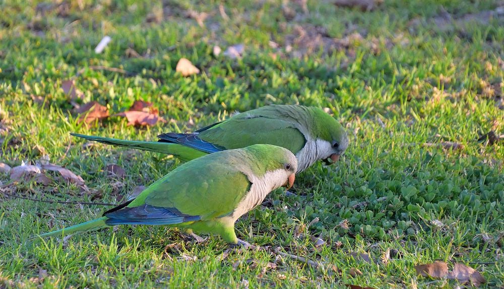 Photograph by Анатолий Хальман