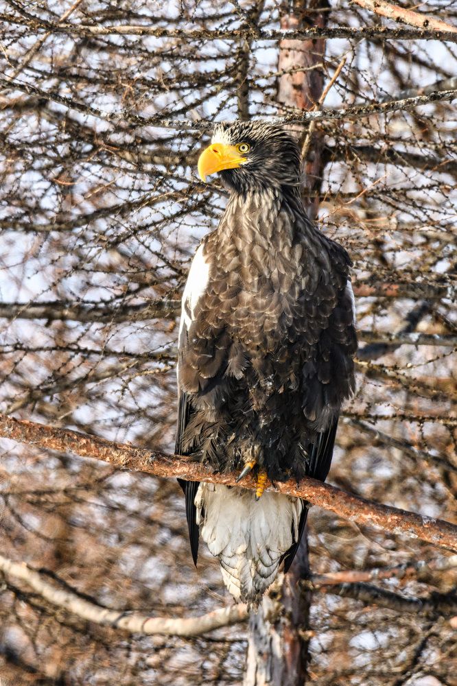 Photograph by Андрей Захаров