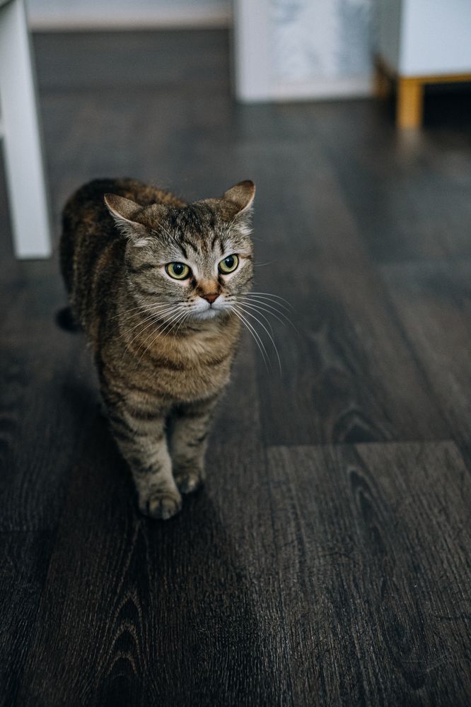 Photograph by Олеся Межова