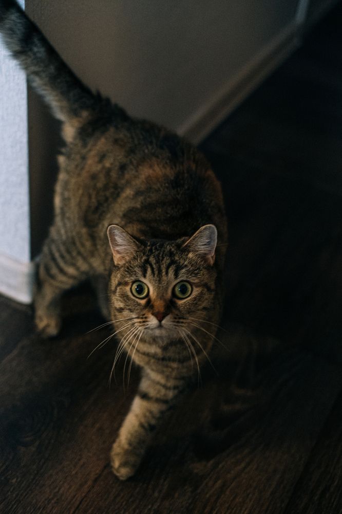 Photograph by Олеся Межова