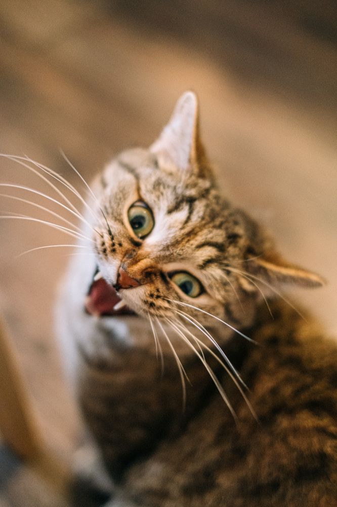 Photograph by Олеся Межова