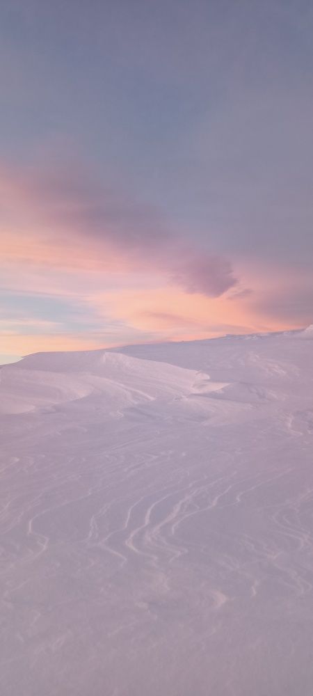 Photo #8929801
