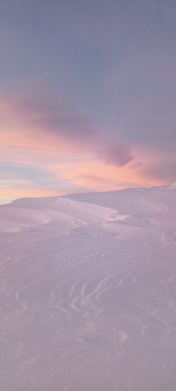 Photo #8929801