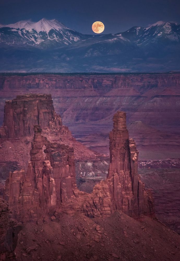 Photograph by Елена Ермолина