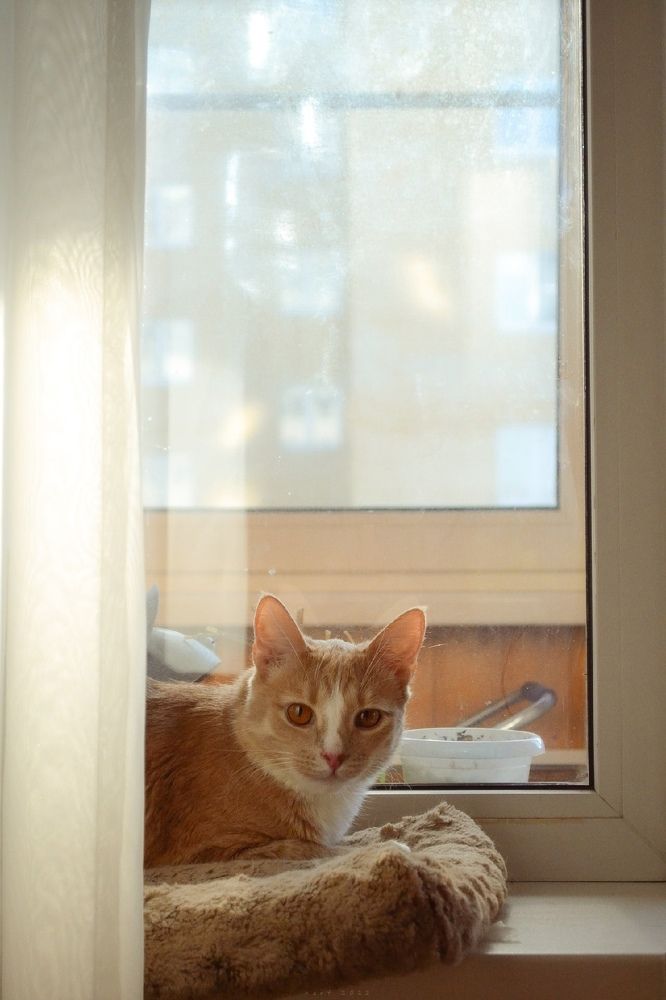 Photograph by Ksenia Sevostianova