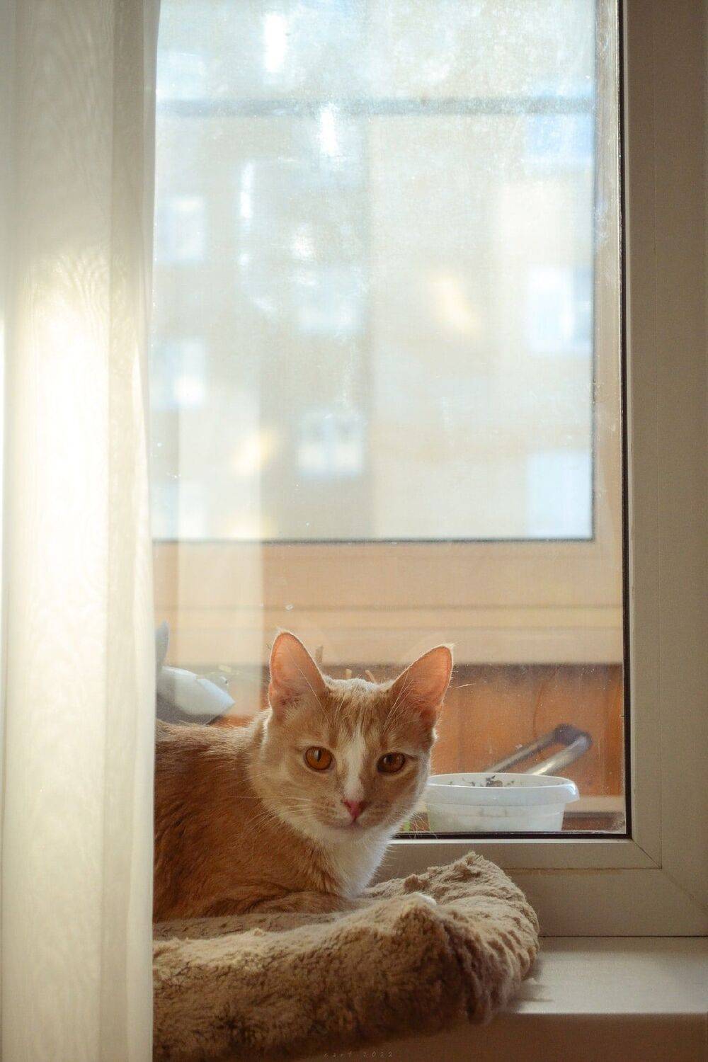 Photo #8929824