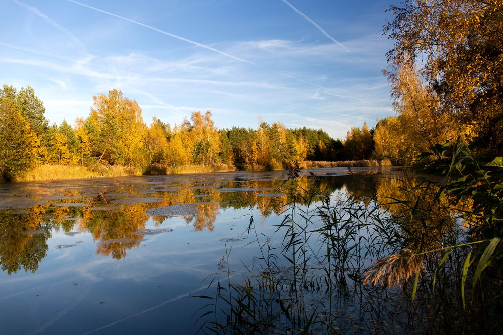 Photograph by Екатерина