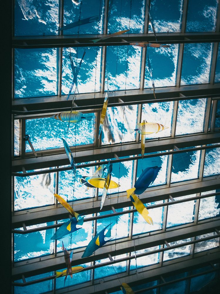 Фотография автора Андрей Жуков