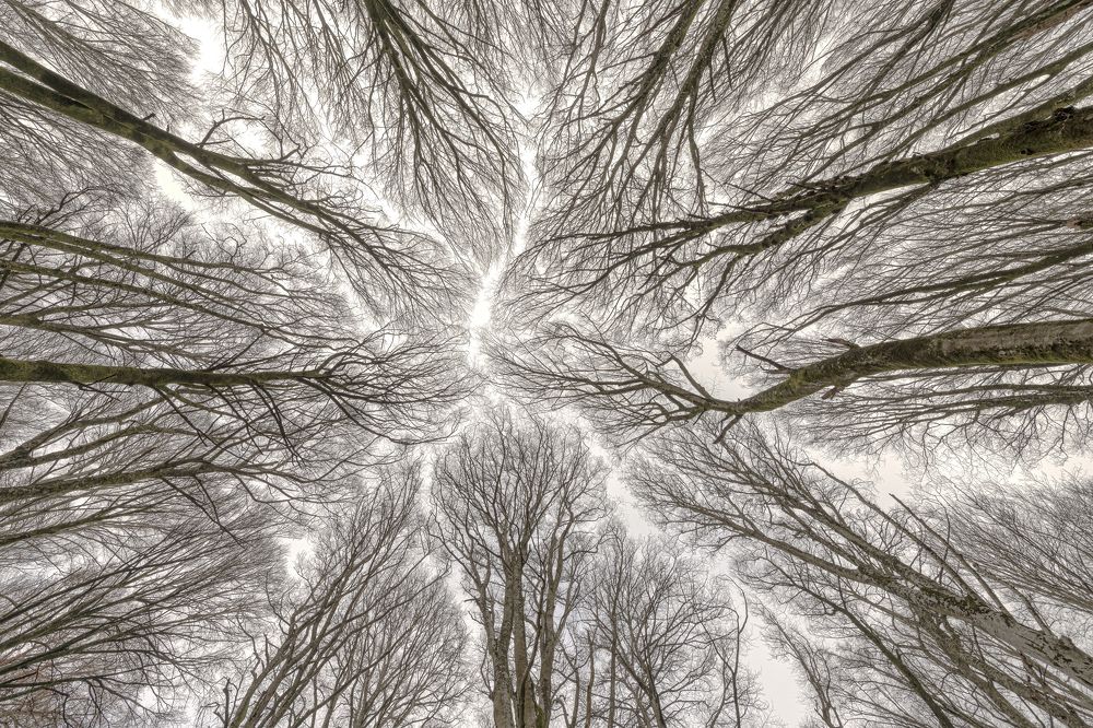 Photograph by Roberto Miniero