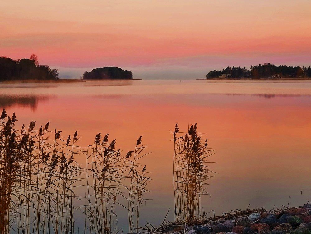 Photograph by Marko From