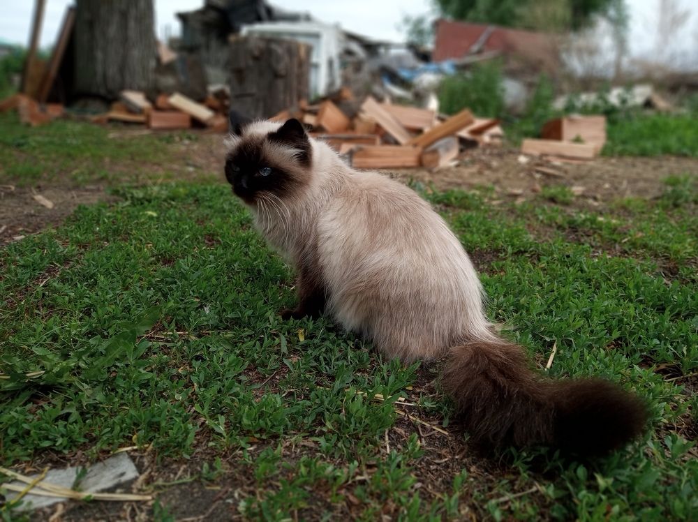 Photograph by Мария Симоненко
