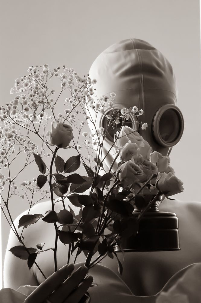 Фотография автора Анна