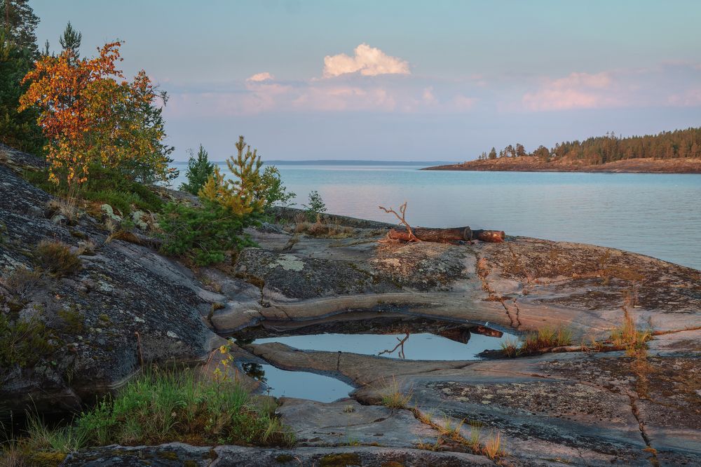 Photograph by Светлана Холодняк