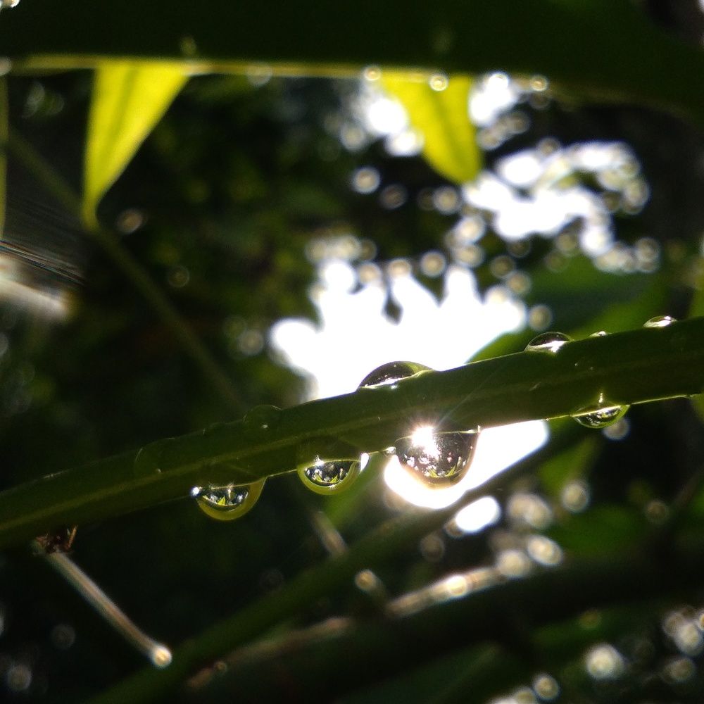 Photo #8930077