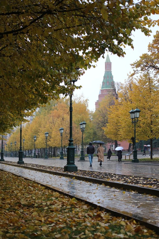 Photograph by Александра