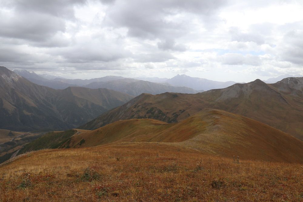 Фотография автора Татьяна Свистулина