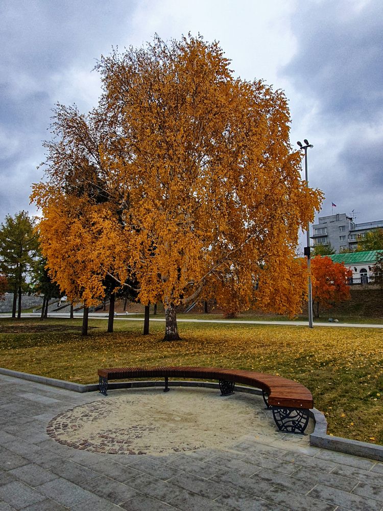 Photograph by Ярослав Марин