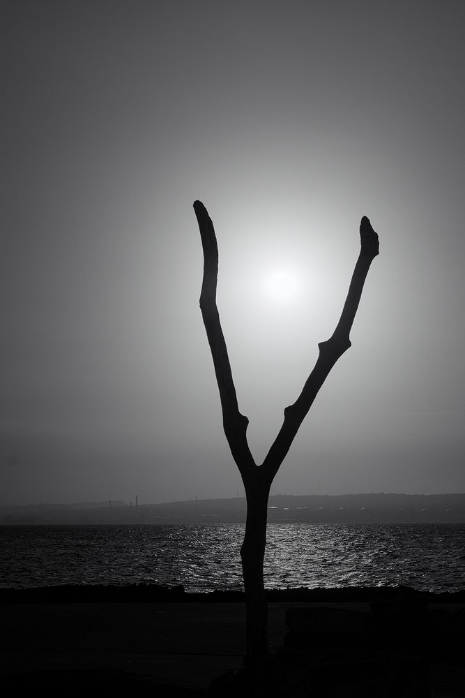 Photograph by Mary Karla Jomolca