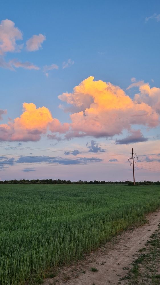 Photograph by Наталья Миндовская