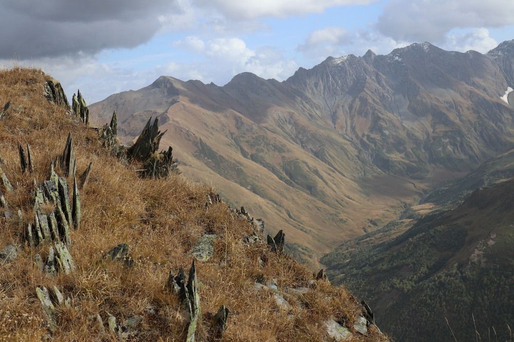 Фотография автора Татьяна Свистулина