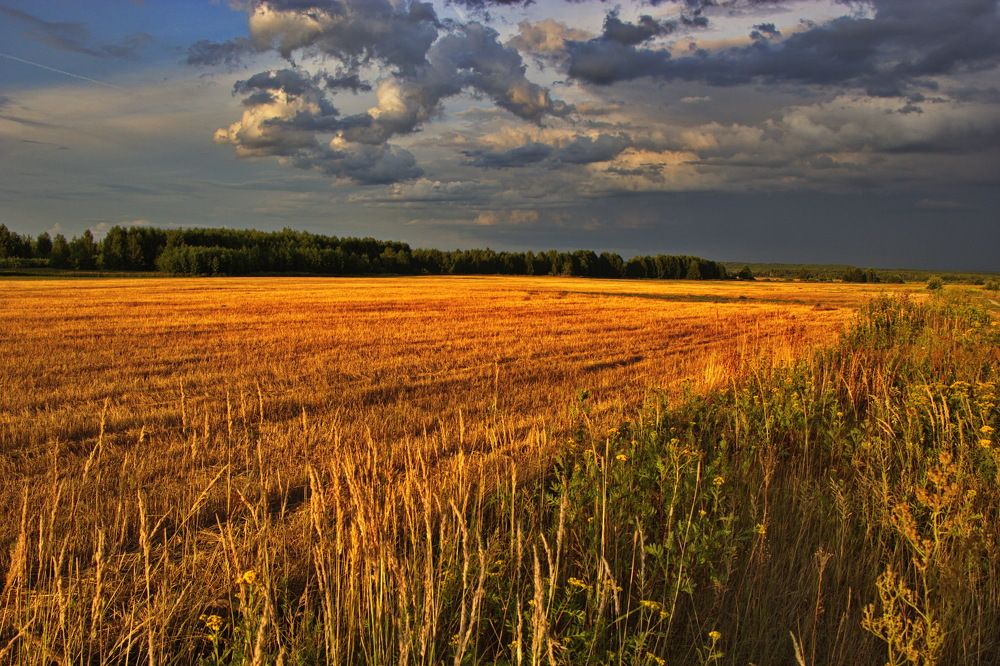 Летний вечер, после дождя.
