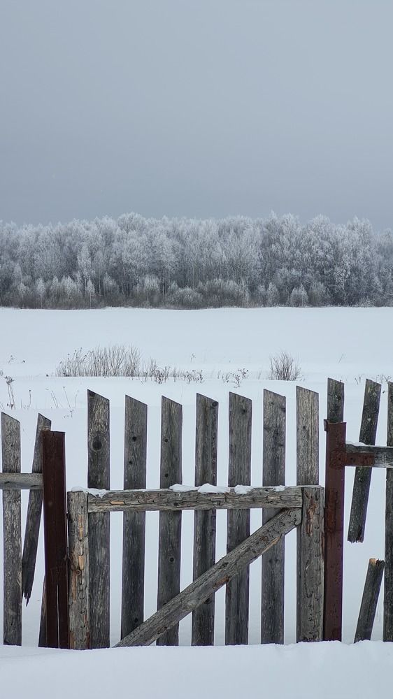 Photograph by Наталья Миндовская