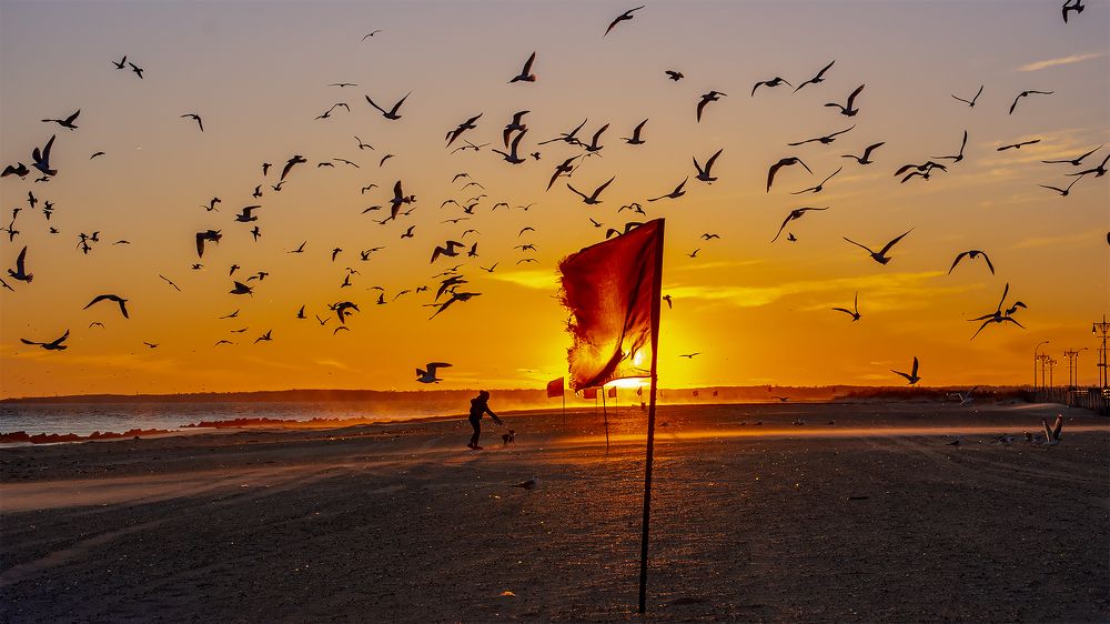 тревожный закат