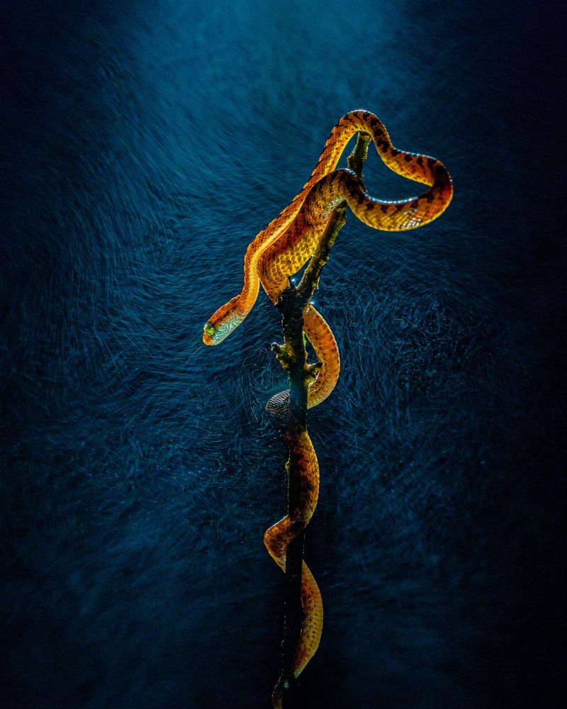 Photograph by Sriraman Karthik