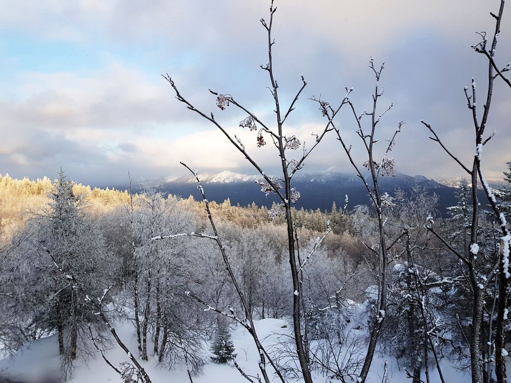 Photograph by TATIANA MASYCHEVA