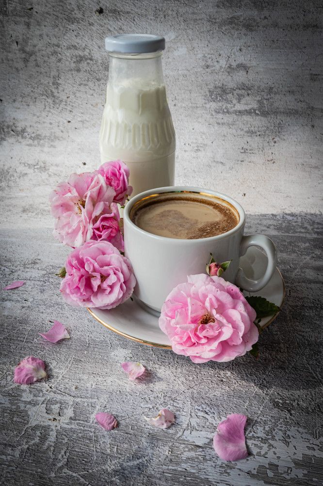 Фотография автора Оксана Белозерская