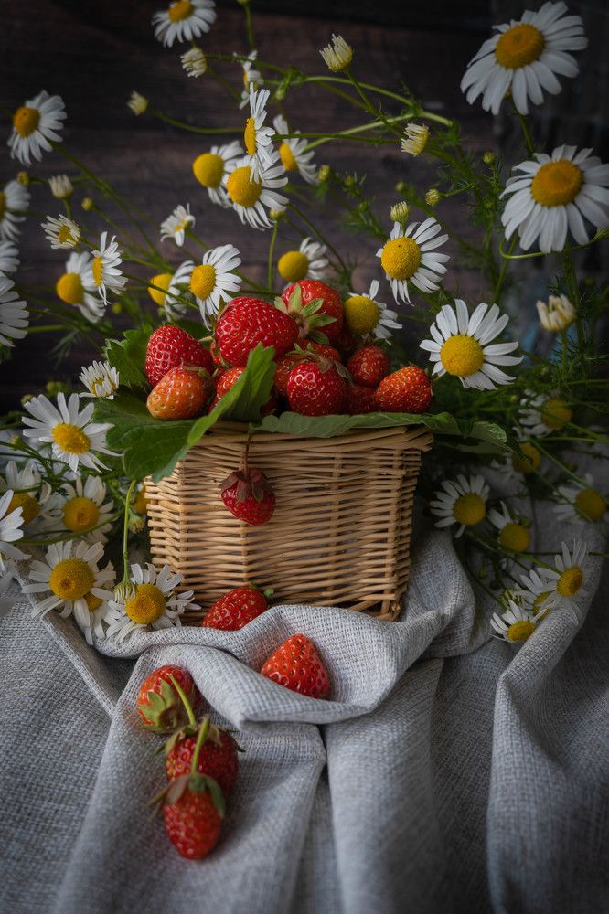 Фотография автора Оксана Белозерская