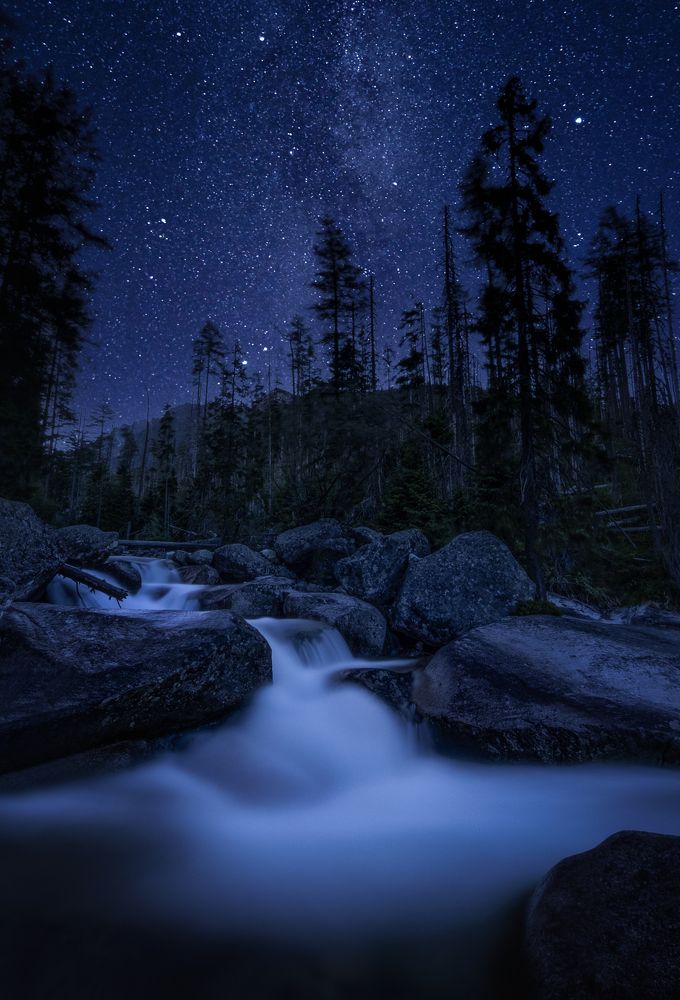 Photograph by David Ilkovic