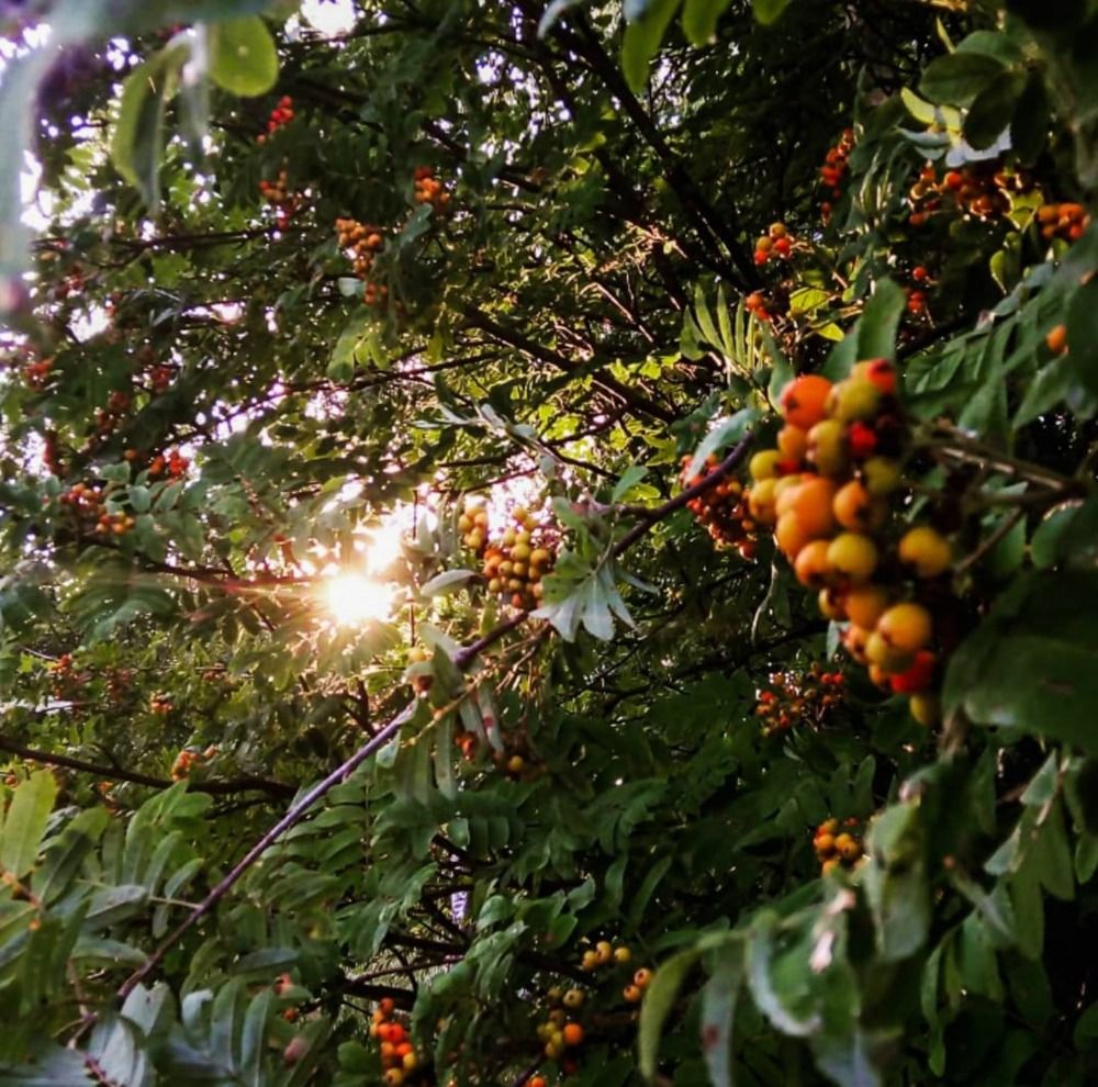 Тайны под солнечным светом