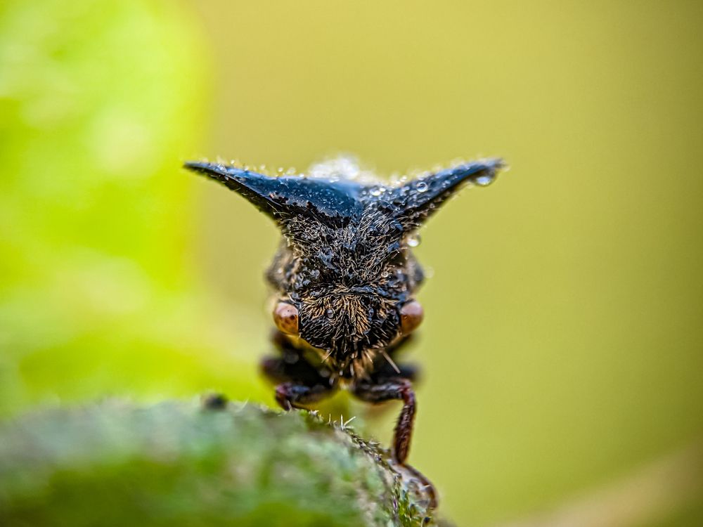 Photograph by Md Raihan