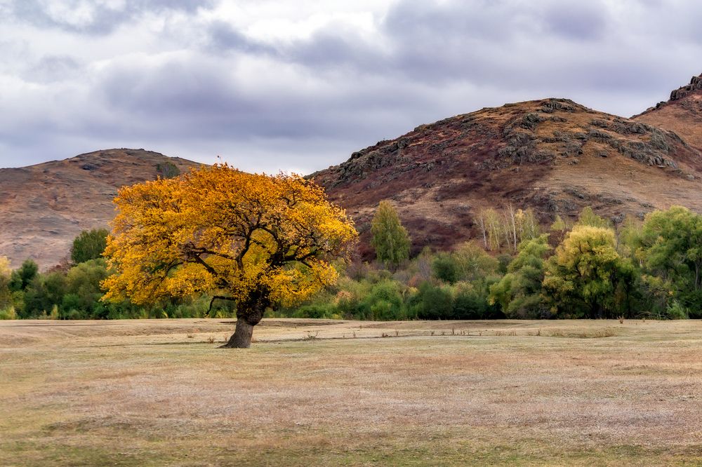 Photograph by Leonid Maksimenko