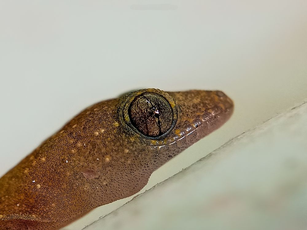 Photograph by Damitha Damitha