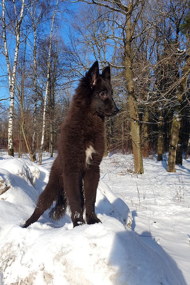 Фотография автора Надежда Лисицына