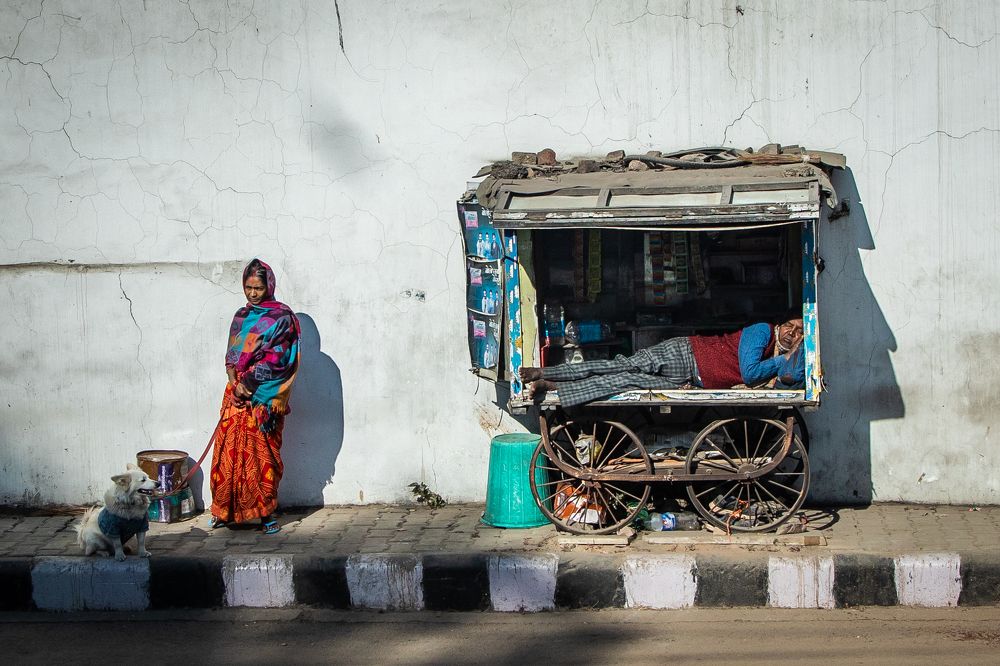 Фотография автора Андрей Пожарский
