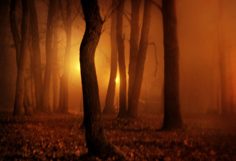 Photograph by Инна Карасева