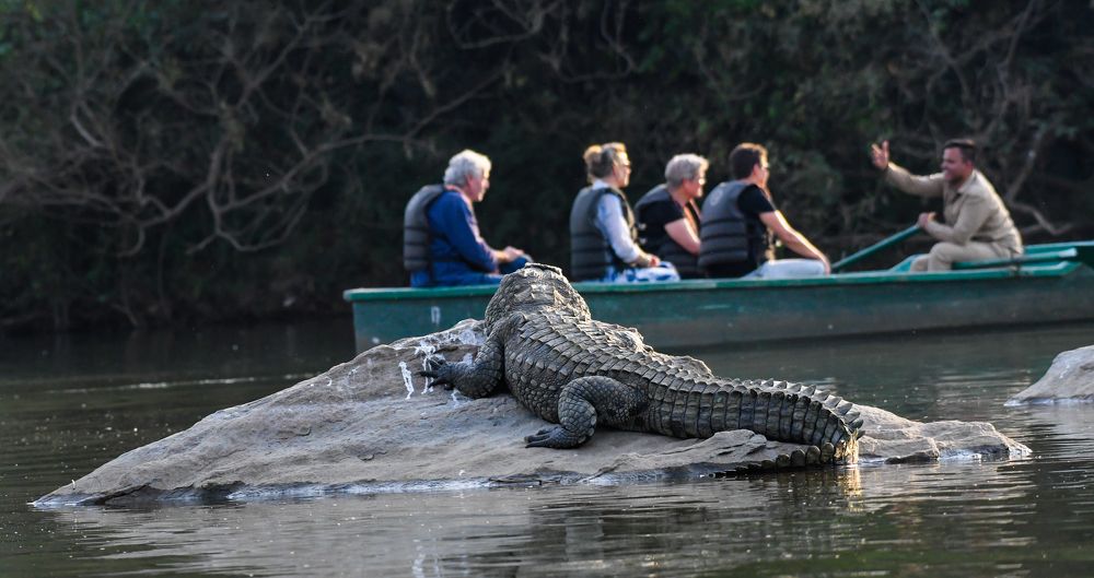 YOU ARE BEING WATCHED