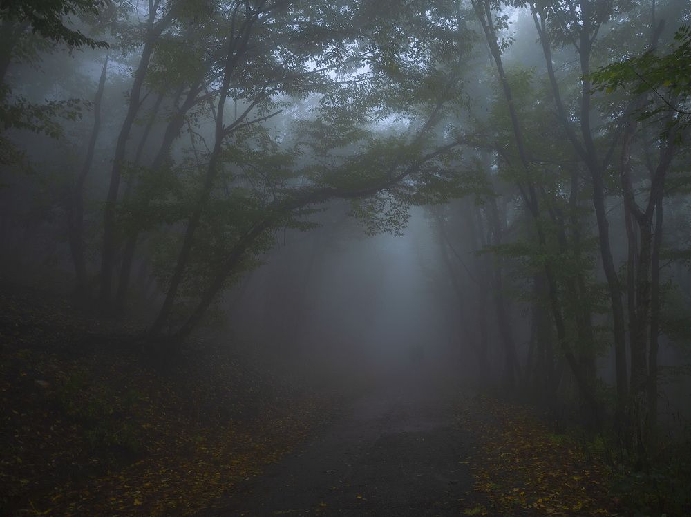 Фотография автора 