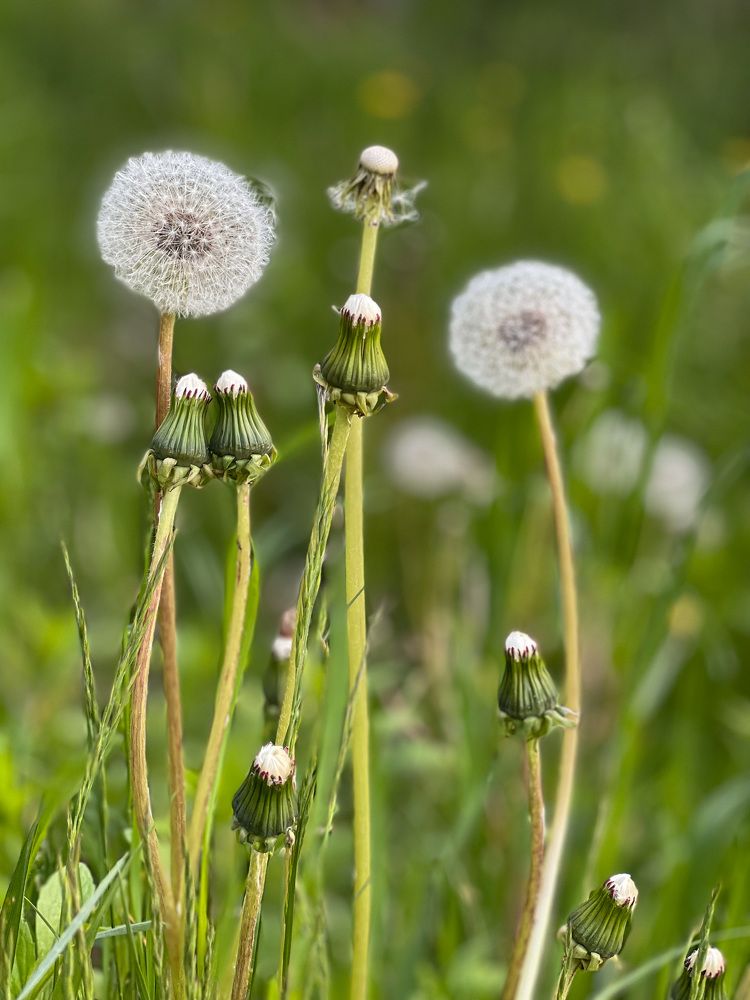 Photograph by Татьяна Капаева