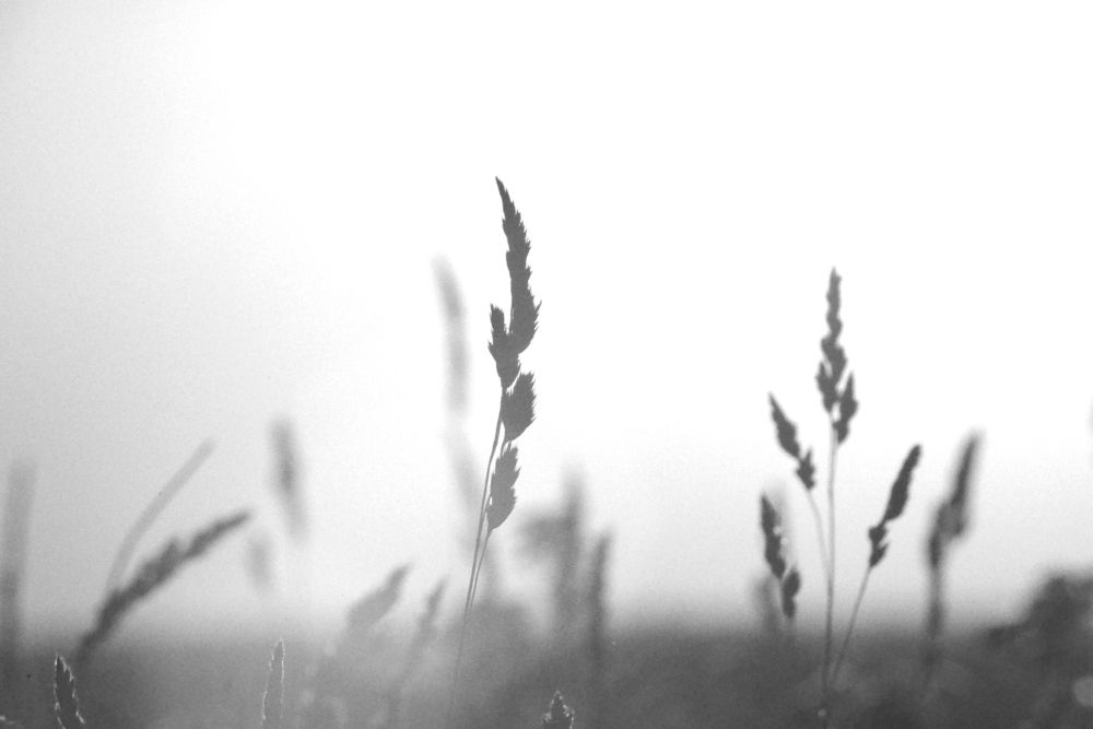 Photograph by Николай Алексеев