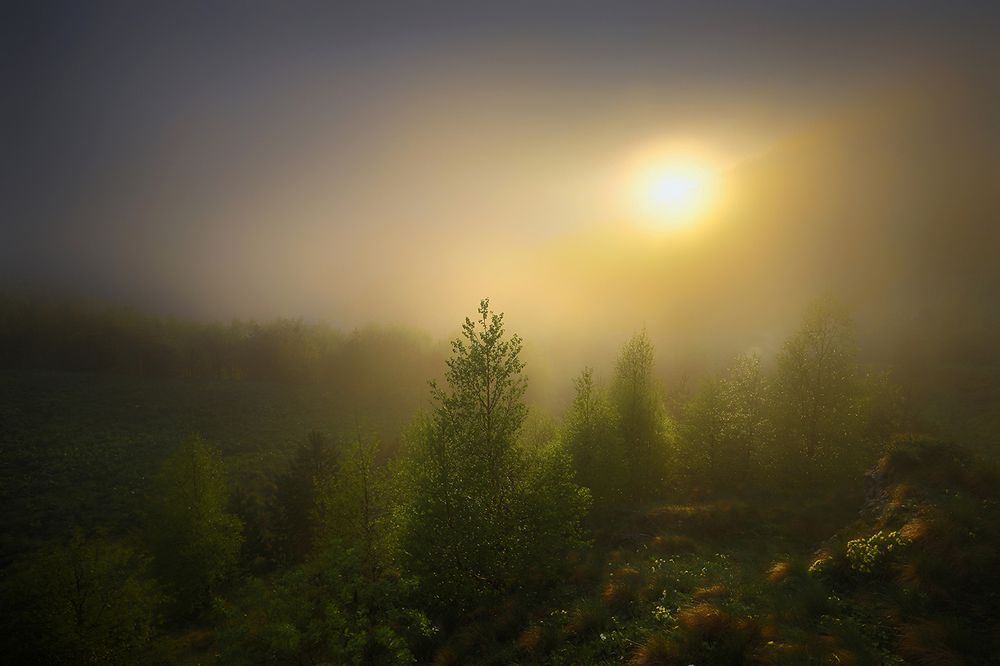 Photograph by Андрей Ершов