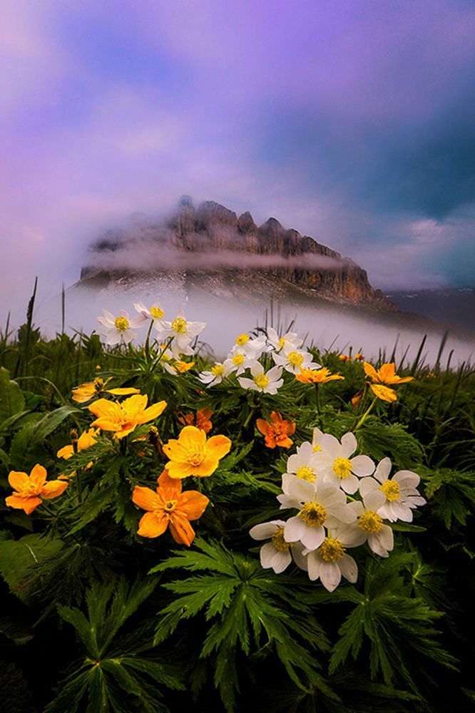 Photograph by Андрей Ершов