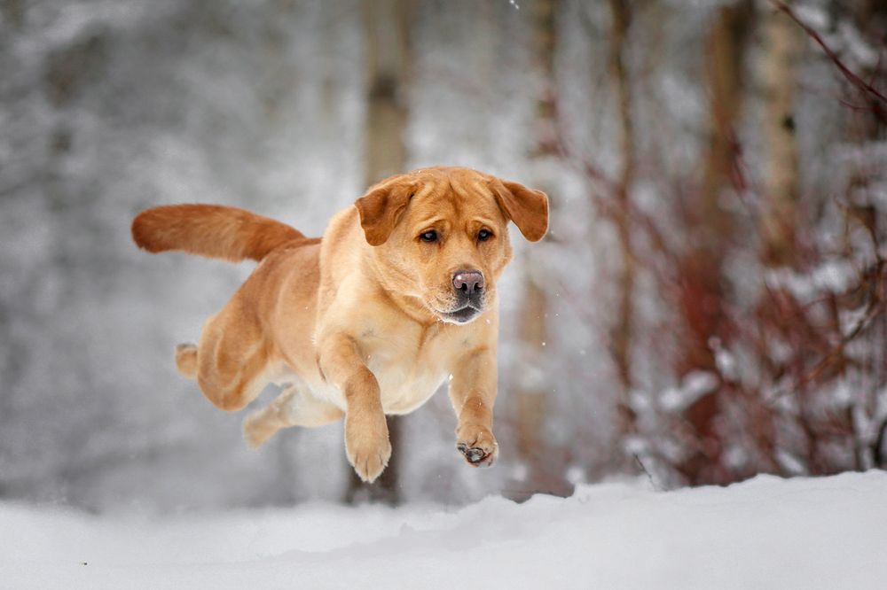 Photograph by Андрей Ершов