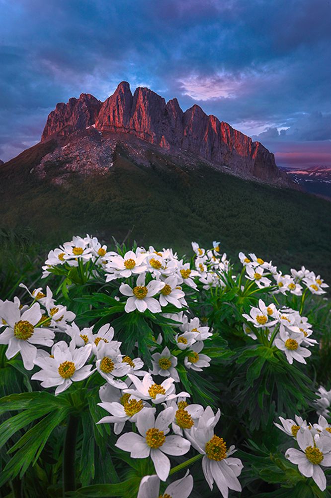 Photograph by Андрей Ершов