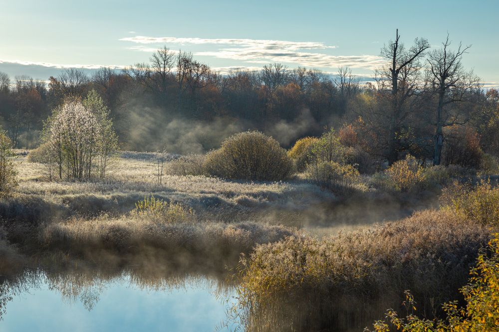 Photograph by Владимир Бессолицын